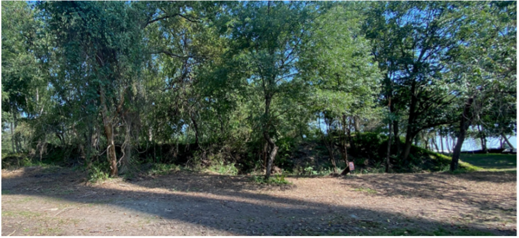 Southern Battery Area July 2024